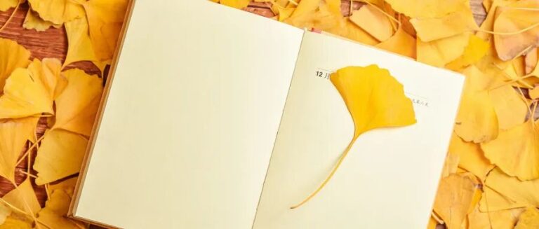 父母花10万咨询费未解决孩子休学问题，在这里，找到了答案。