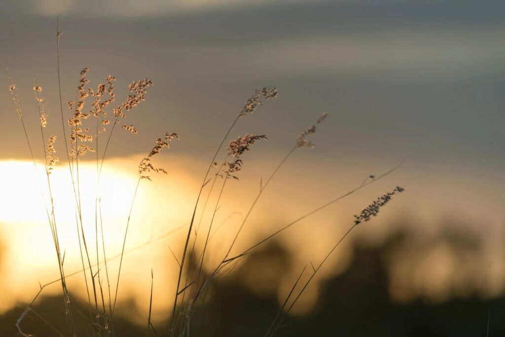 照妖镜里，我的真模样